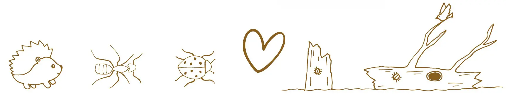 Illustration på en igelkott, myra, nyckelpiga, ett hjärta och ett dött träd