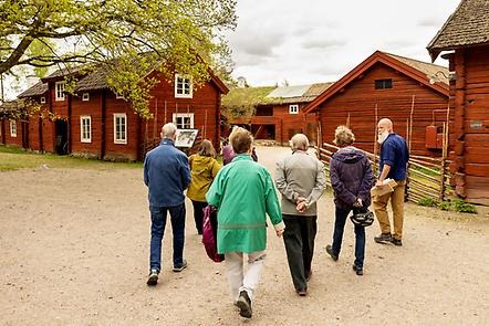 Intendent Roger Tjärnström går tillsammans med en grupp människor mellan de röda husen på Vallby friluftsmuseum.
