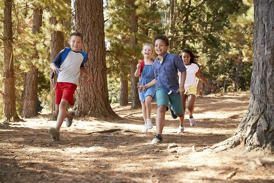 Barn som springer i skogen