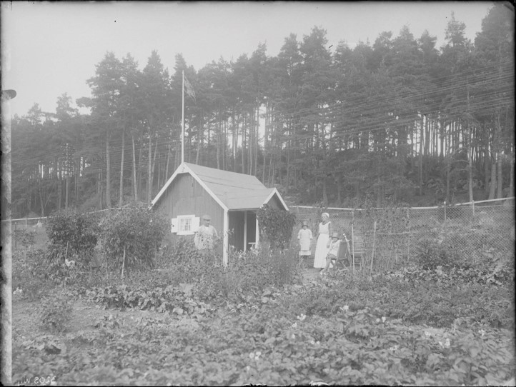 Svartvit bild på en kolonistuga med åkermark intill. 