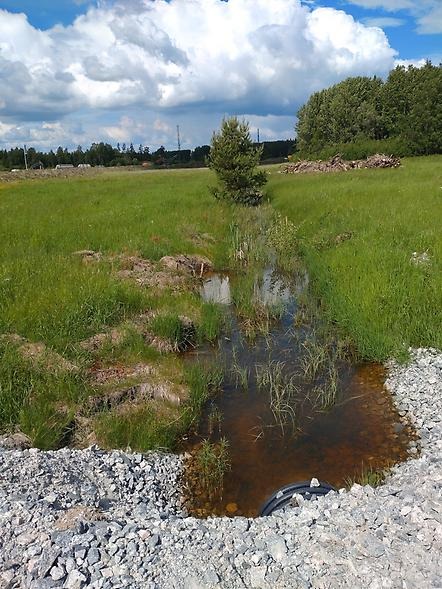 Dike som ska bli vattenpark på Sätra. Bild tagen i juni 2022.