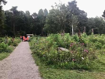 Översiktsbild på park med blommande växter